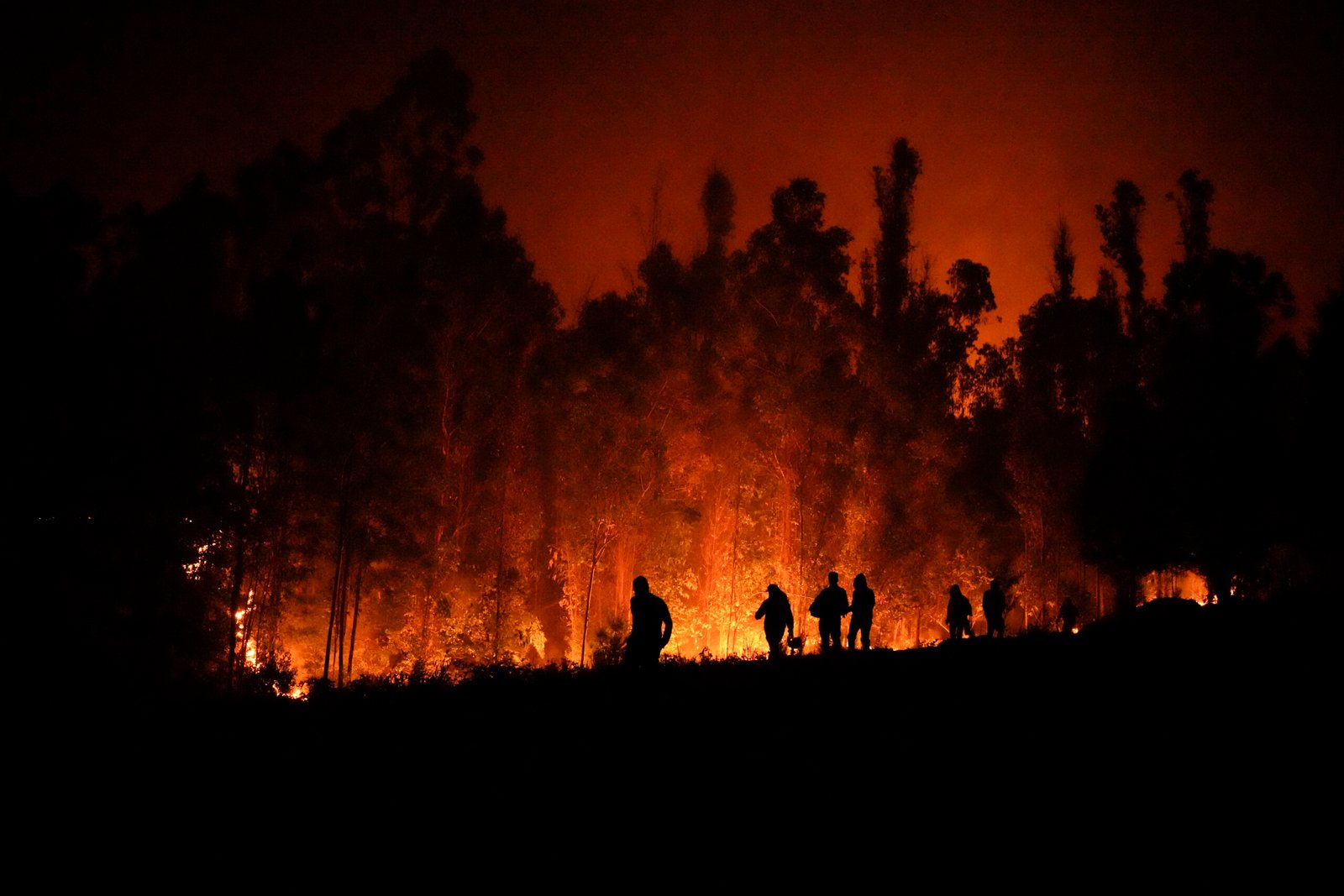 incendios en Chile