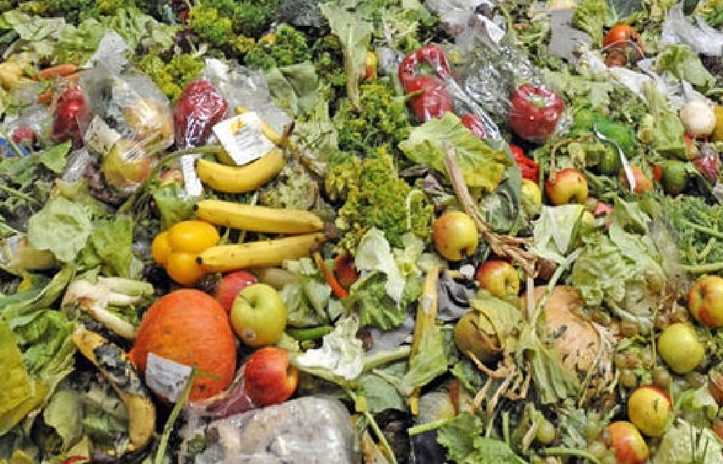 desperdicio de alimentos