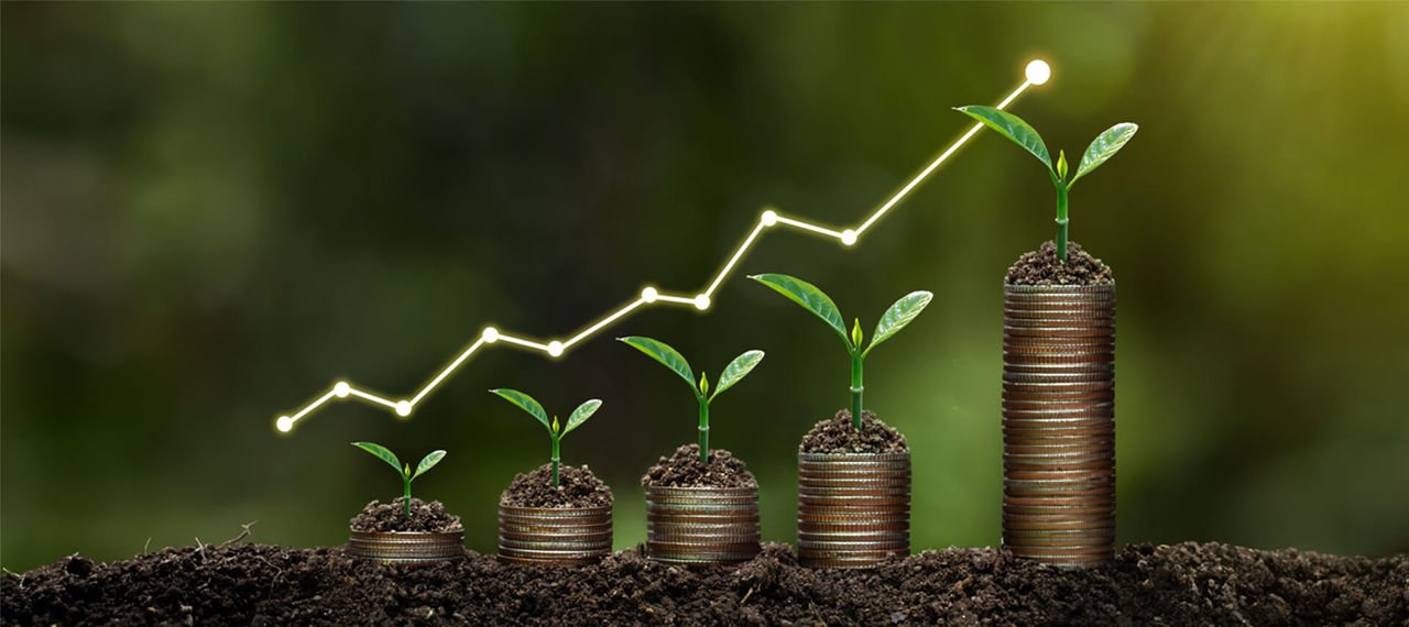 Agricultura rentable