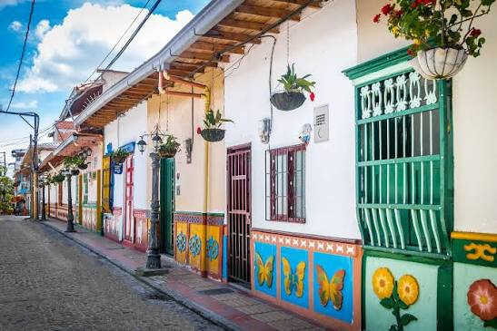 Destinos deslumbrantes para descubrir la biodiversidad colombiana
