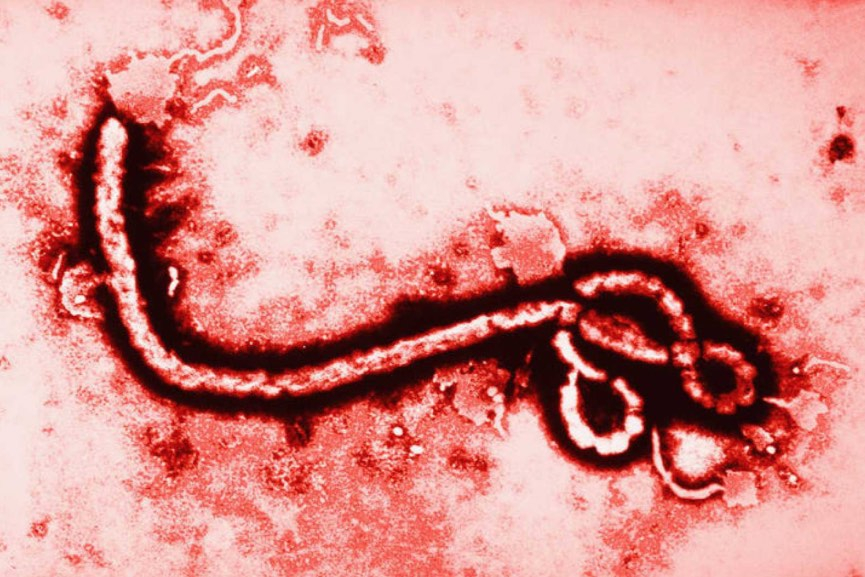 La República Democrática del Congo enfrenta una crisis por el avance de la Enfermedad por el virus del Ébola