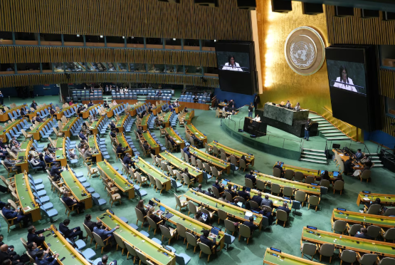 Colombia lleva a la ONU el mensaje de De la Espriella: soberanía, seguridad e inversión