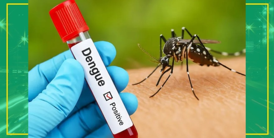 Alerta dengue Colombia Meta