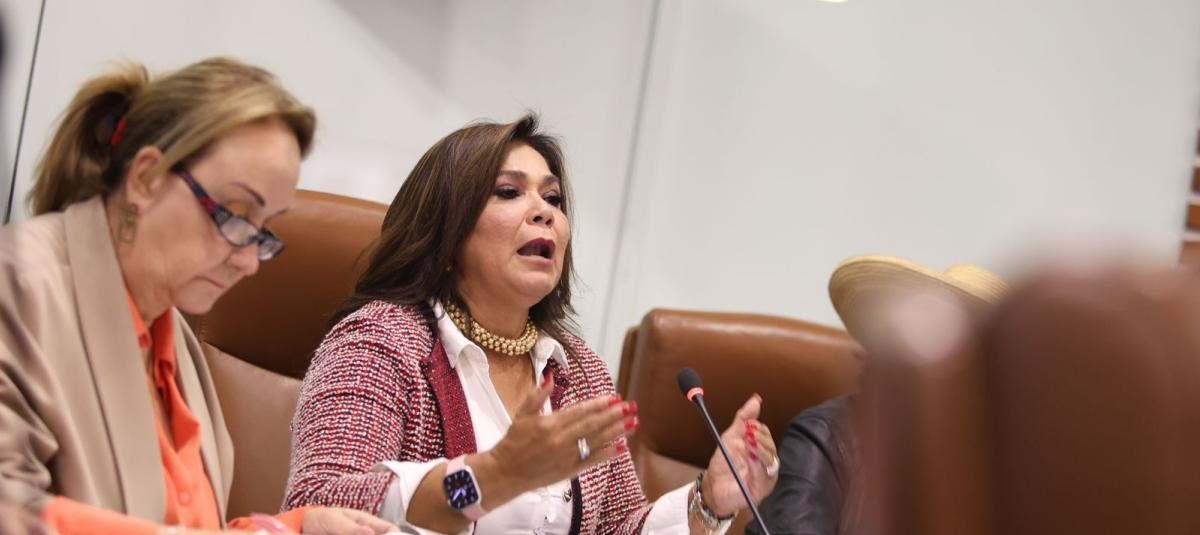 Disputas en la Cámara de Representantes ponen en jaque el futuro económico de Colombia